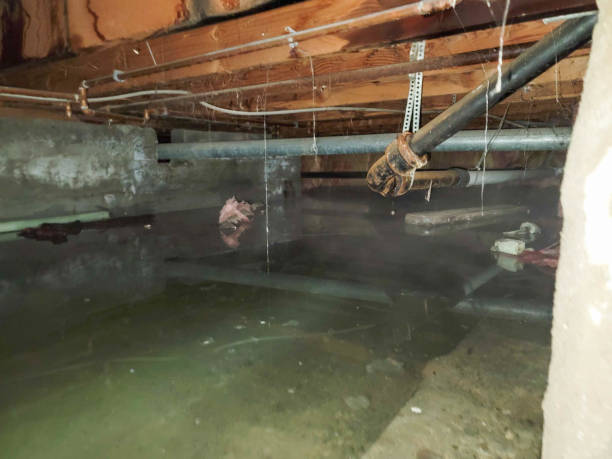 Best Emergency water damage restoration  in Kerman, CA