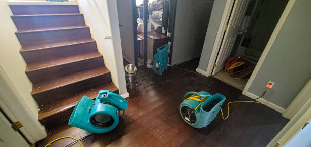 Best Carpet water damage restoration  in Kerman, CA