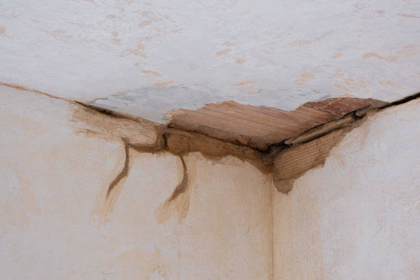 Best Flood restoration services  in Kerman, CA