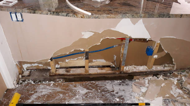 Best Water damage contractors near me  in Kerman, CA