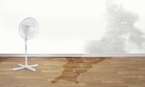 Best Basement water damage restoration  in Kerman, CA