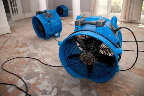 Best Flood restoration services  in Kerman, CA