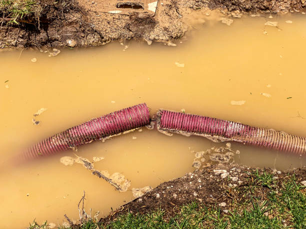 Best Water damage restoration near me  in Kerman, CA